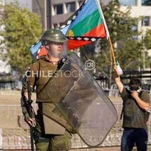 Estallido Carabinero Bandera Mapuche